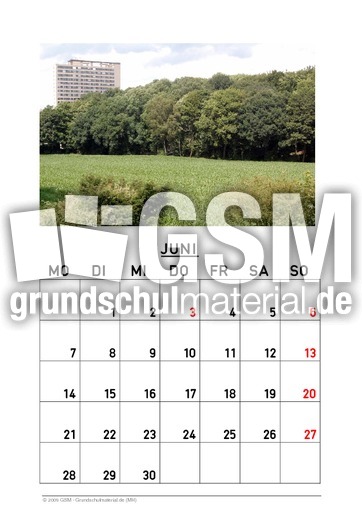 Juni 2010.pdf